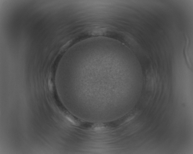 X0000053050228200507111134