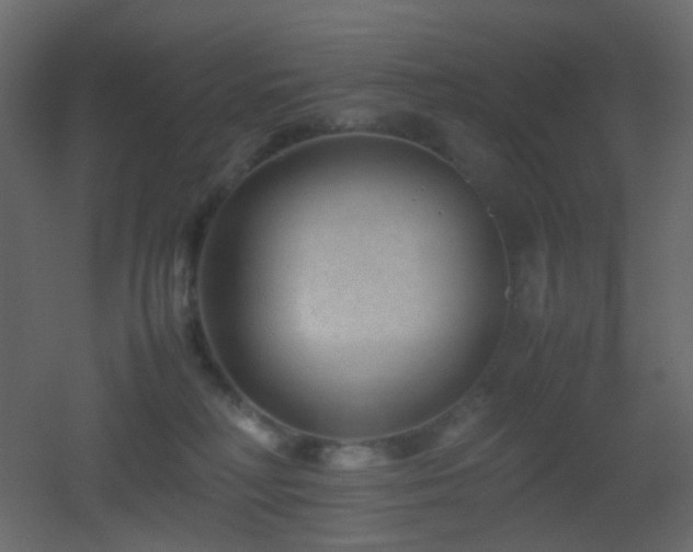 X0000053050230200507111134