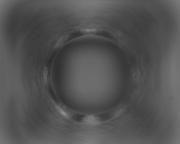 X0000053050231200507111134
