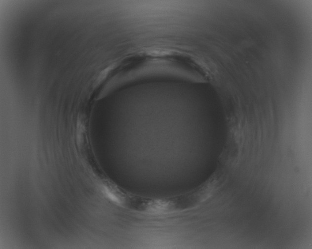 X0000053050235200507111134