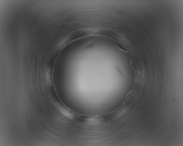 X0000053050238200507111134