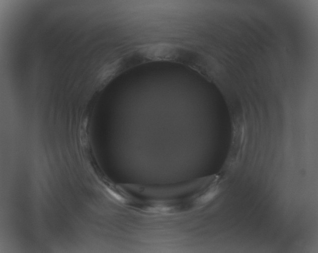 X0000053050239200507111134
