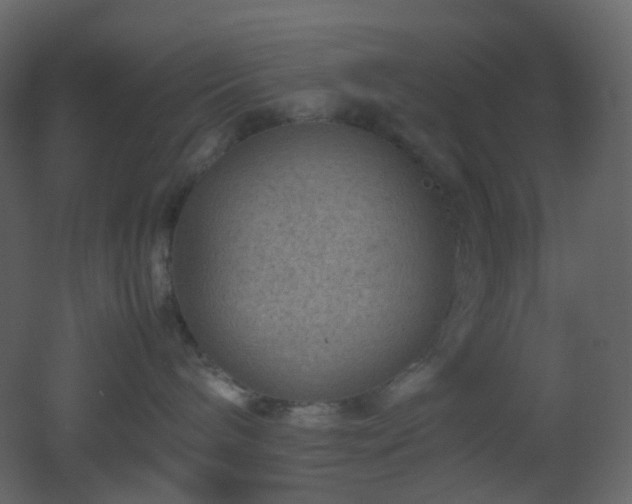 X0000053050240200507111134