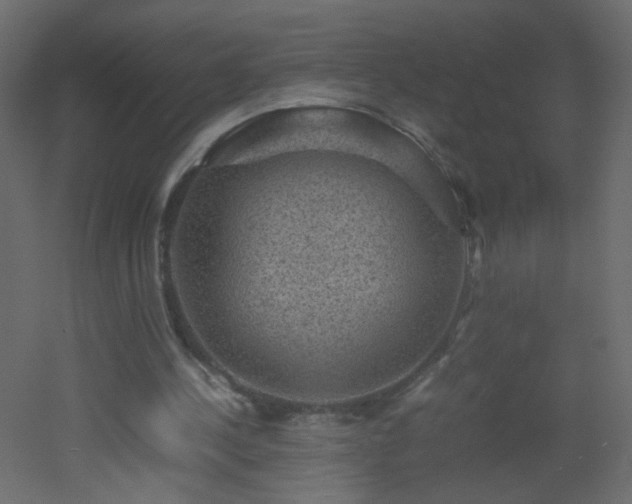 X0000053050244200507111133