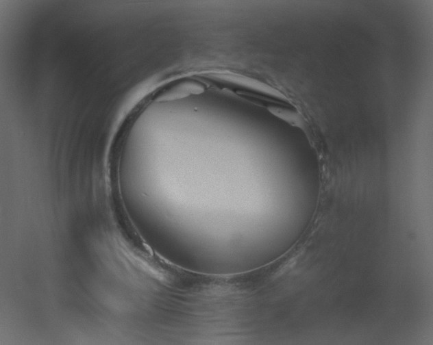 X0000053050246200507111133
