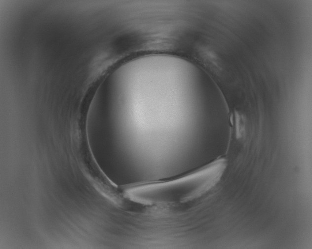 X0000053050252200507111133
