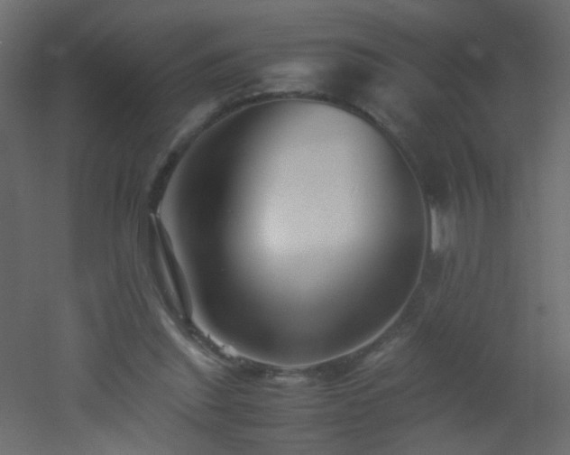 X0000053050253200507111133