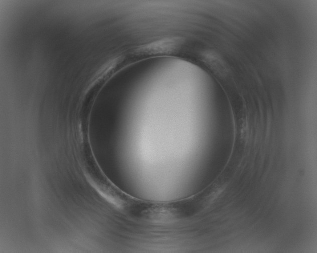 X0000053050254200507111133