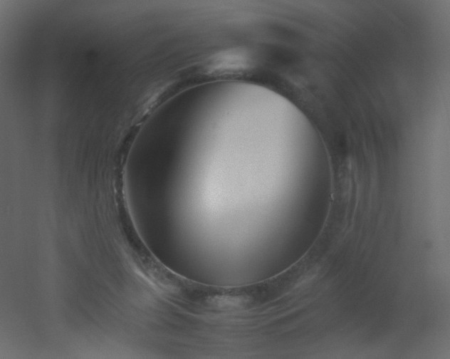 X0000053050255200507111133