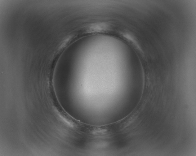 X0000053050257200507111133