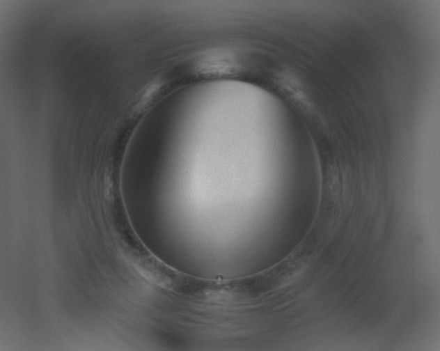 X0000053050259200507111133