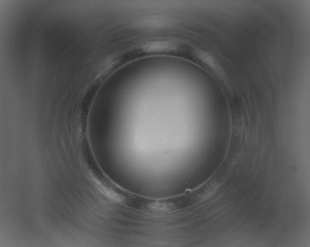 X0000053050261200507111133
