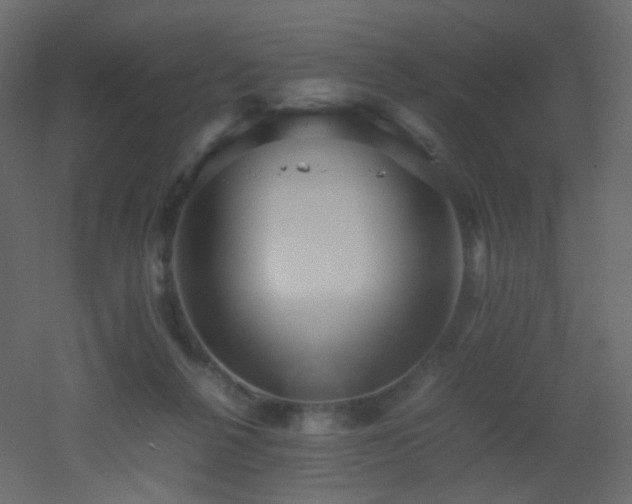 X0000053050264200507111134