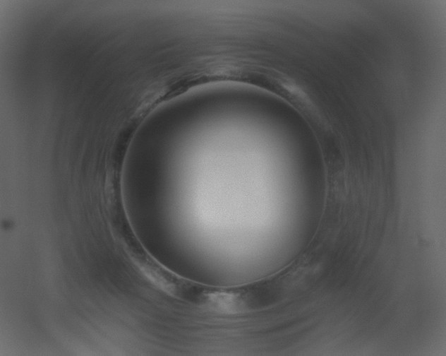 X0000053050265200507111134