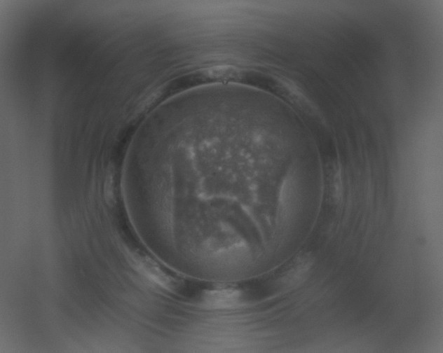 X0000053050266200507111134