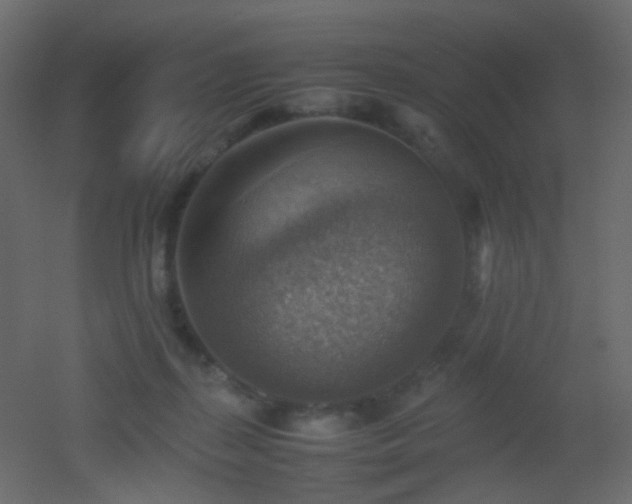 X0000053050267200507111134
