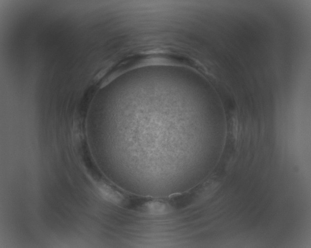 X0000053050272200507111134