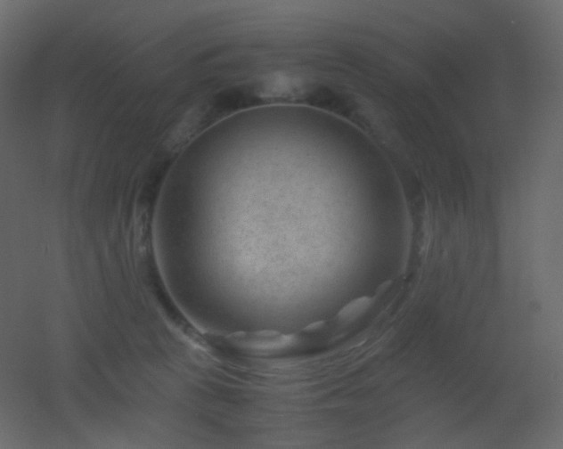 X0000053050273200507111134