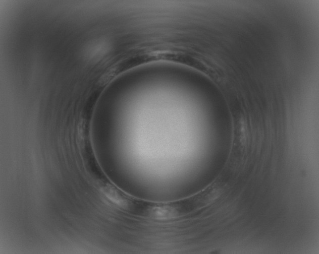 X0000053050275200507111134