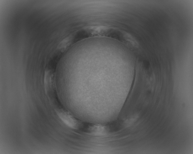 X0000053050276200507111134