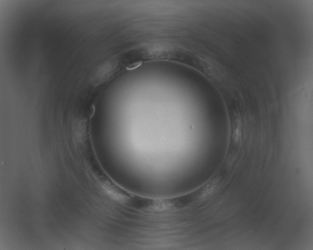X0000053050278200507111134