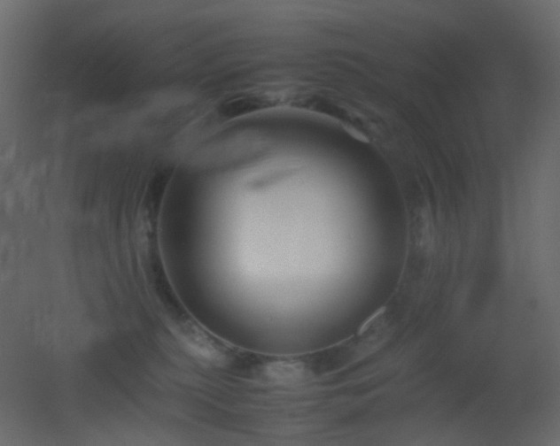 X0000053050279200507111134