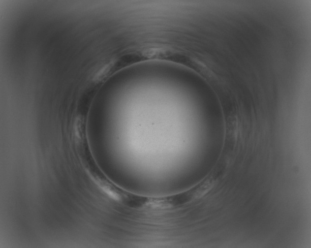 X0000053050280200507111134