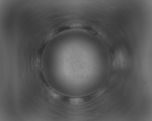 X0000053050281200507111134