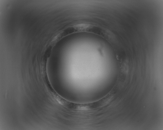 X0000053050283200507111134