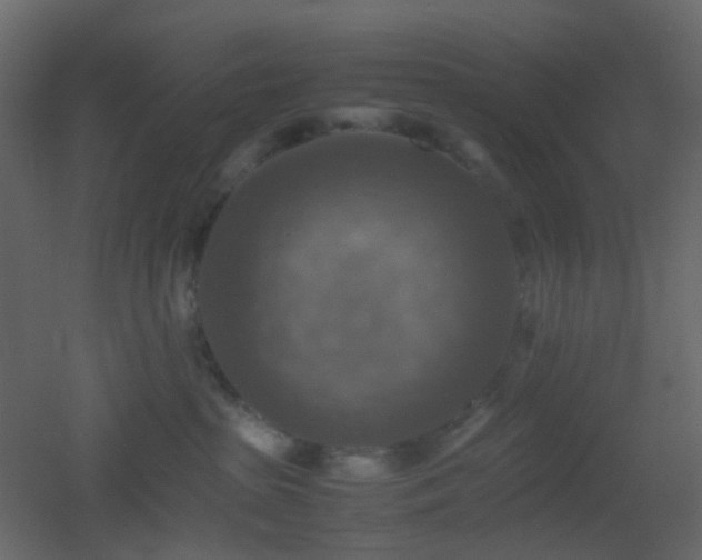 X0000053050285200507111134
