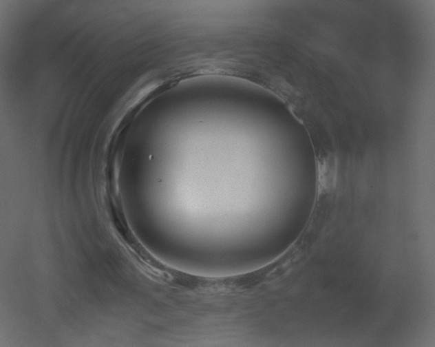 X0000053050291200507111133