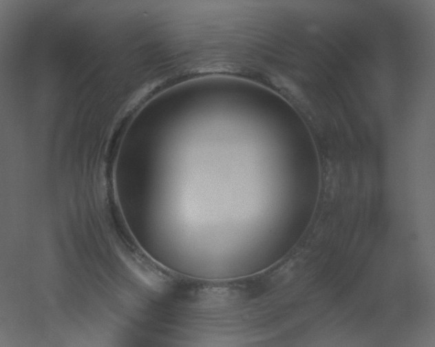 X0000053050298200507111133