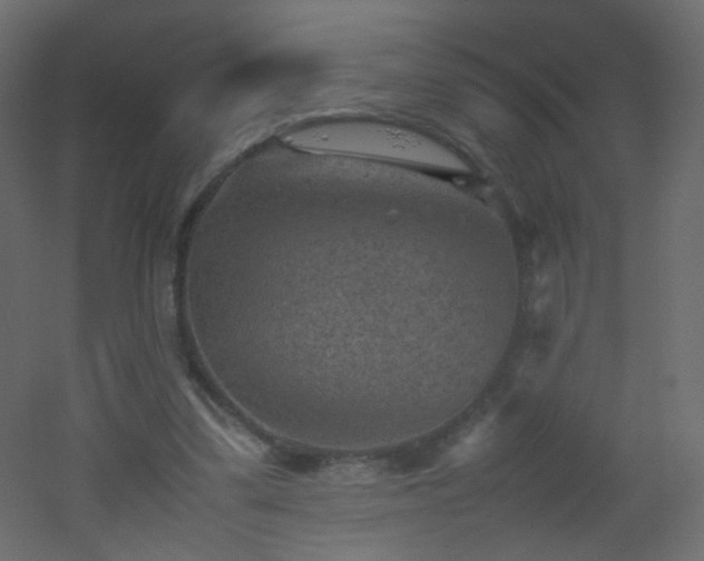X0000053050299200507111133