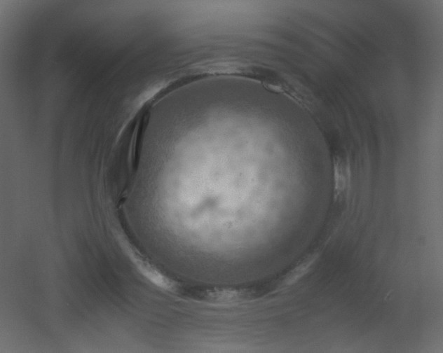 X0000053050301200507111133