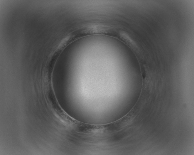 X0000053050306200507111133