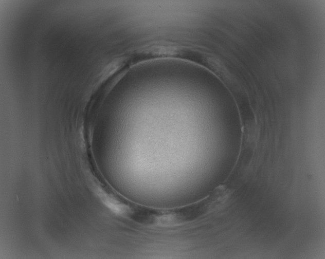 X0000053050309200507111133