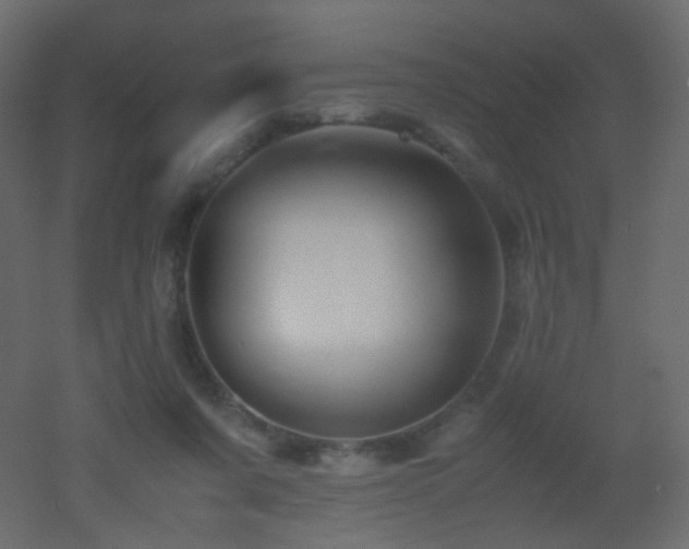 X0000053050311200507111133