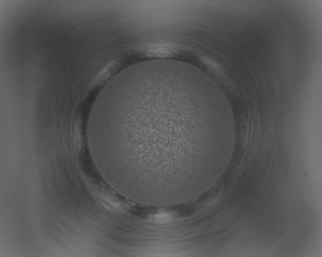 X0000053050312200507111133