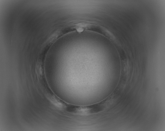 X0000053050313200507111133