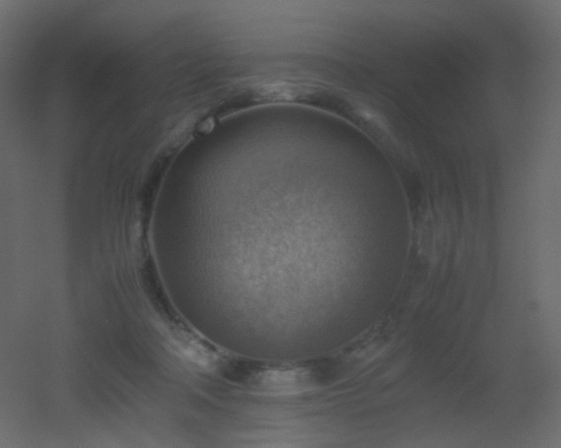 X0000053050314200507111133