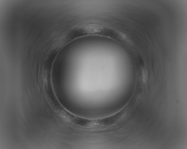 X0000053050315200507111133