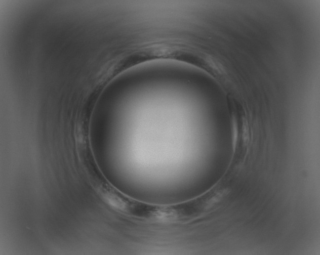 X0000053050317200507111133