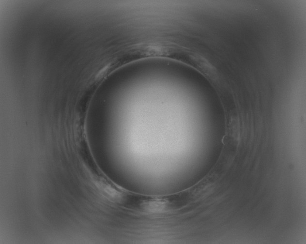 X0000053050318200507111133