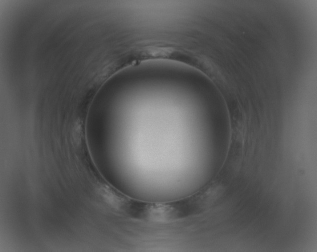 X0000053050321200507111133