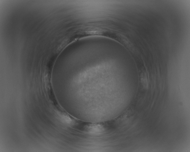X0000053050322200507111133