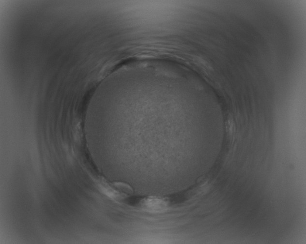 X0000053050327200507111132