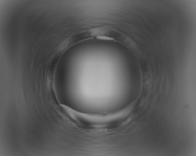 X0000053050329200507111132