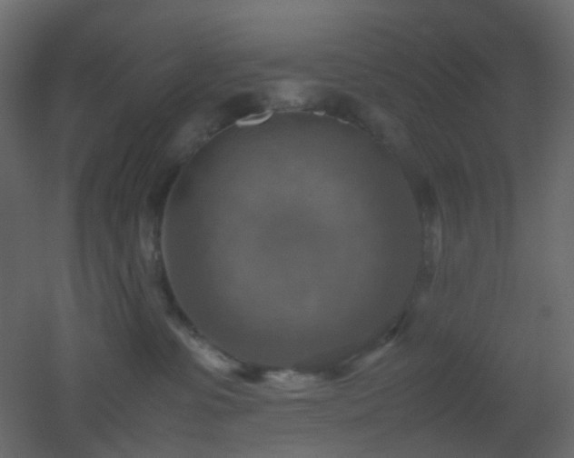 X0000053050331200507111132