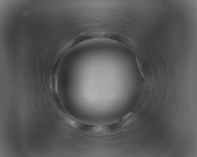X0000053050335200507111132