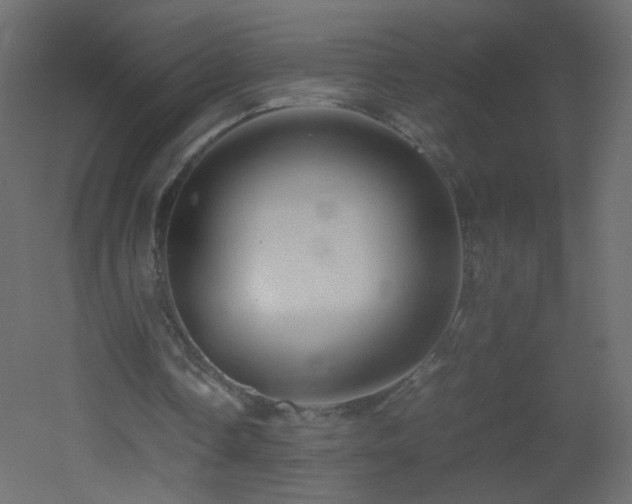 X0000053050338200507111132